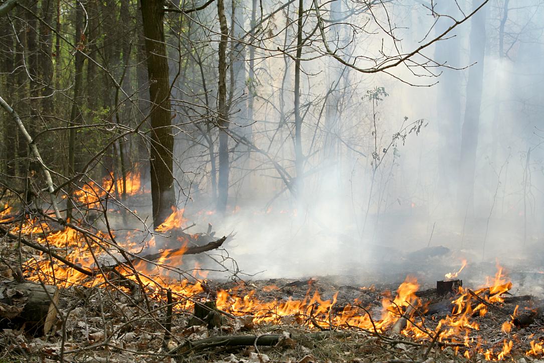 Incendiu în sud-estul României, după explozia unei drone