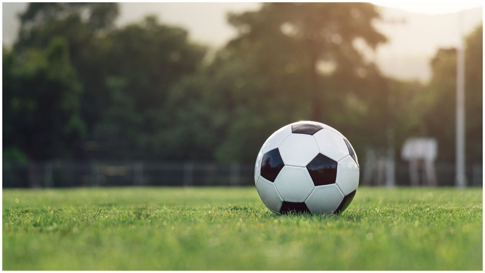 Dinamo-FCSB, mutată la Cluj? Arena clujeană, gazdă surpriză