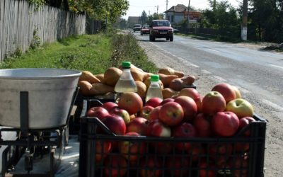 Amenzi pe drumuri: S-au dat sancțiuni vânzătorilor de fructe și legume