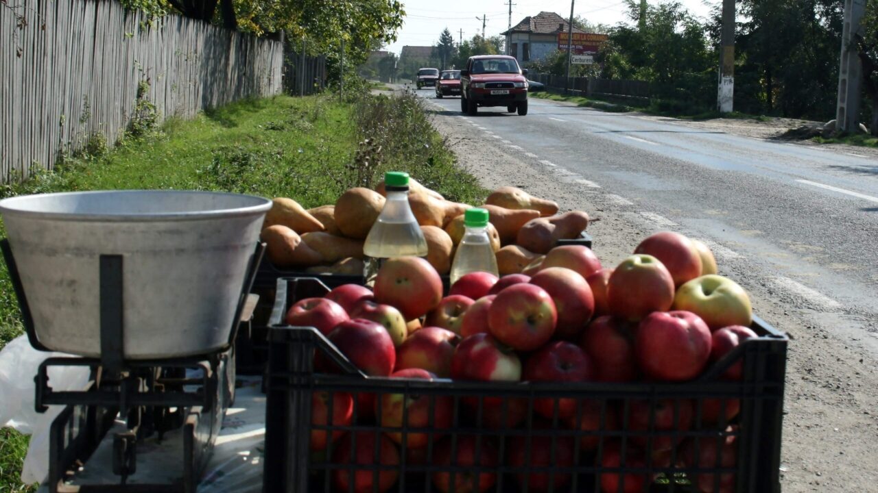 Amenzi pe drumuri: S-au dat sancțiuni vânzătorilor de fructe și legume