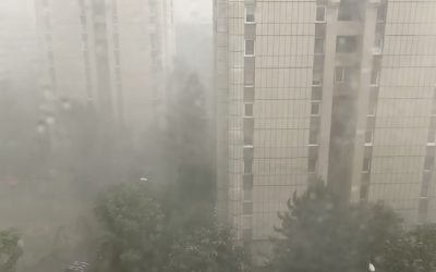 Brașov, prăpăd după furtună: copaci doborâți, garaje inundate
