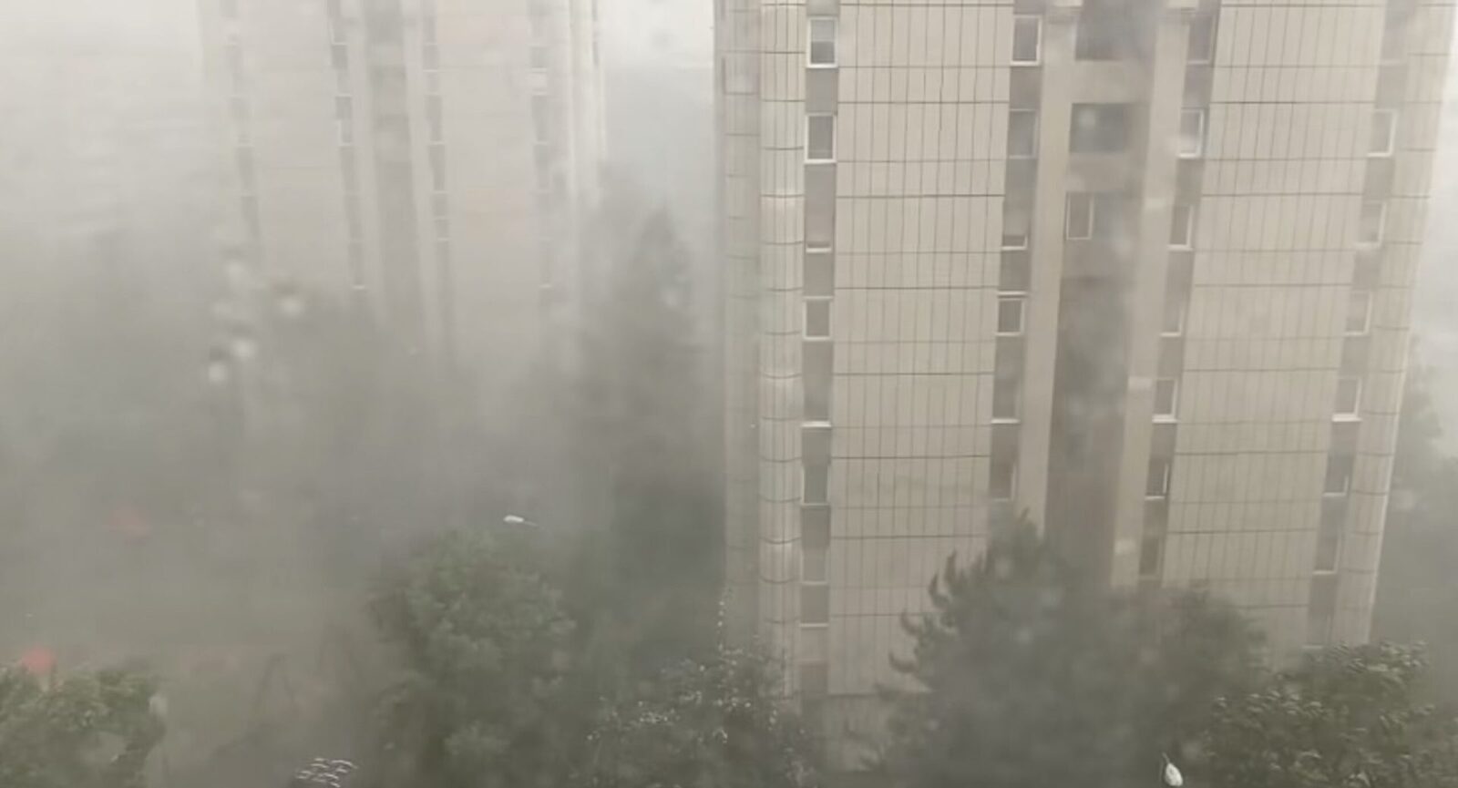 Brașov, prăpăd după furtună: copaci doborâți, garaje inundate