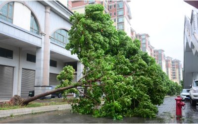 China: Un milion de oameni evacuați de urgență