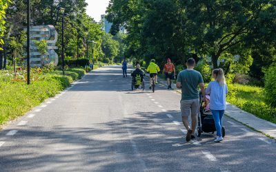 Sute de copaci amenințați. Primăria să asculte cetățenii