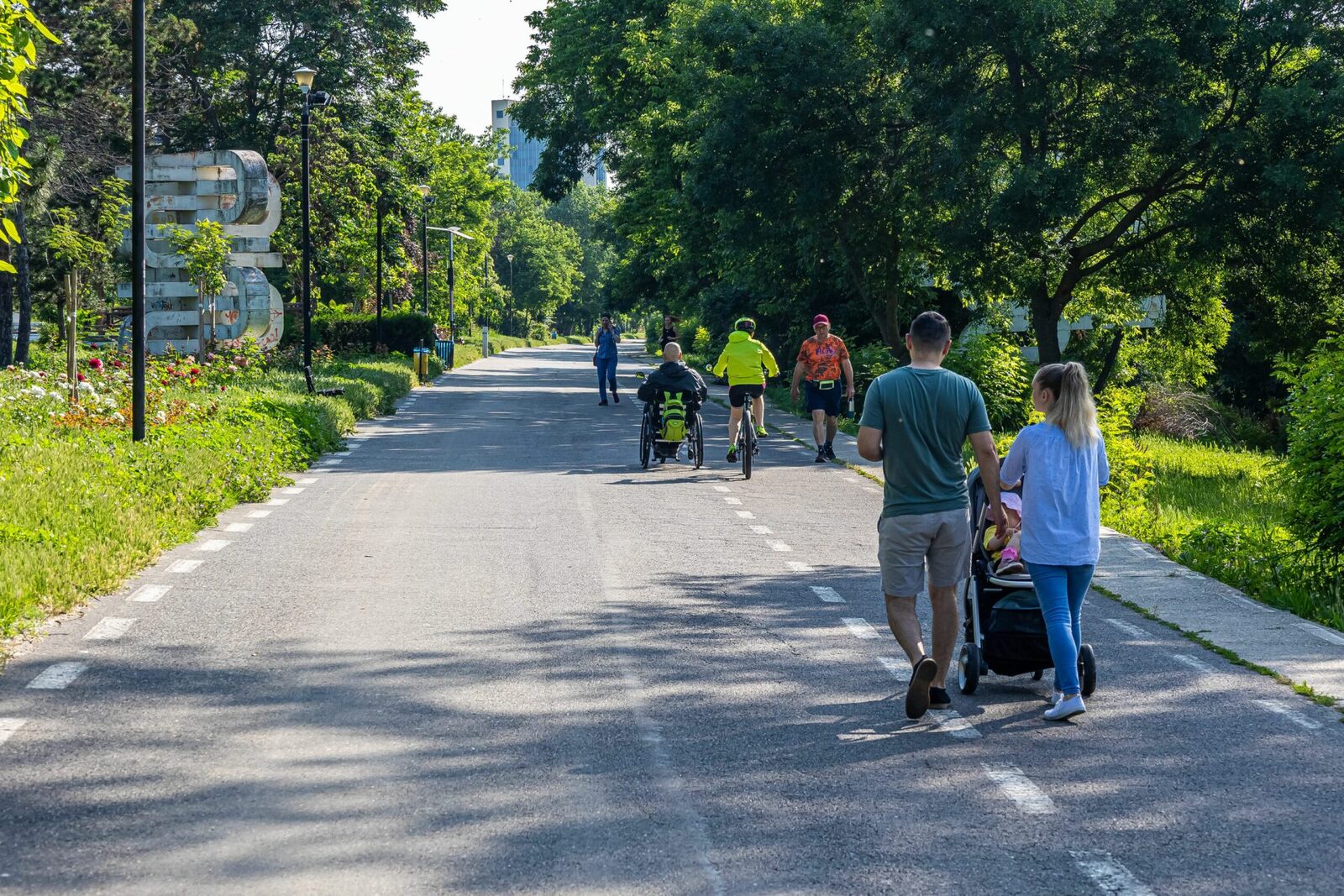 Sute de copaci amenințați. Primăria să asculte cetățenii