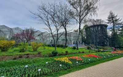 România, prima grădină botanică, o istorie unică