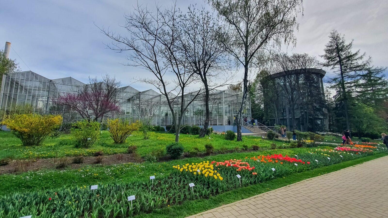 România, prima grădină botanică, o istorie unică