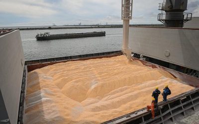 Blocada Neagră, dezastru total pentru fermierii ucraineni