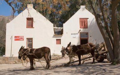 Germani și-au clădit visul african: nașterea veldskoen