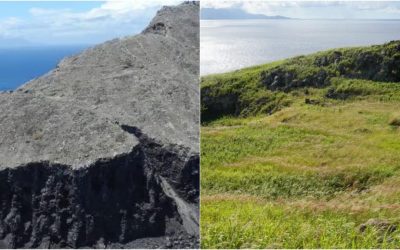 Redonda, paradisul renăscut: vegetație +2.000% după eliminarea șobolanilor