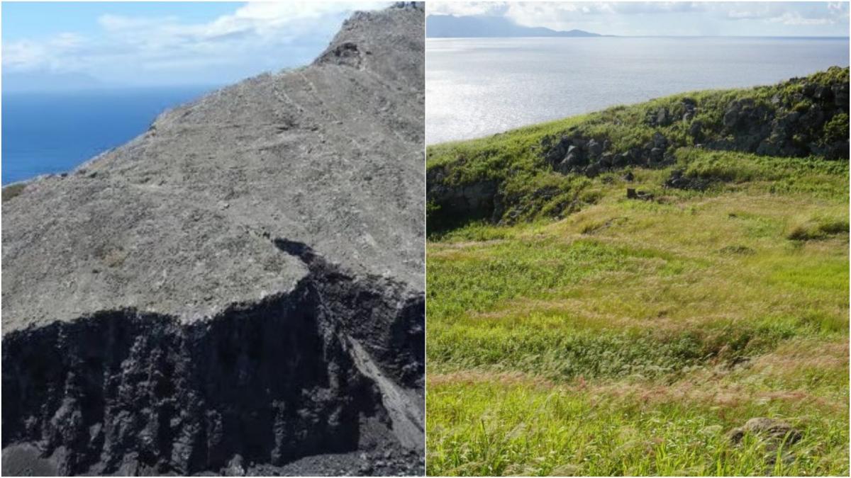 Redonda, paradisul renăscut: vegetație +2.000% după eliminarea șobolanilor