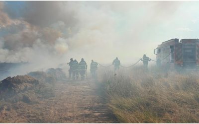 Sibiu: Incendiu de vegetație pe Valea Avrigului, pompierii luptă cu flăcările