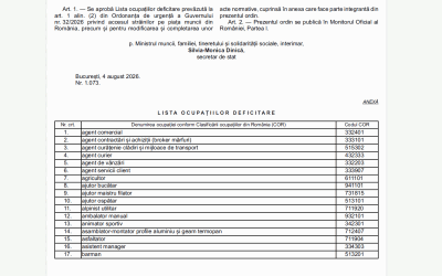 Străinii non-UE, noi joburi în România: lista s-a extins