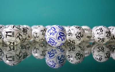 loto-e1768583949683.jpg