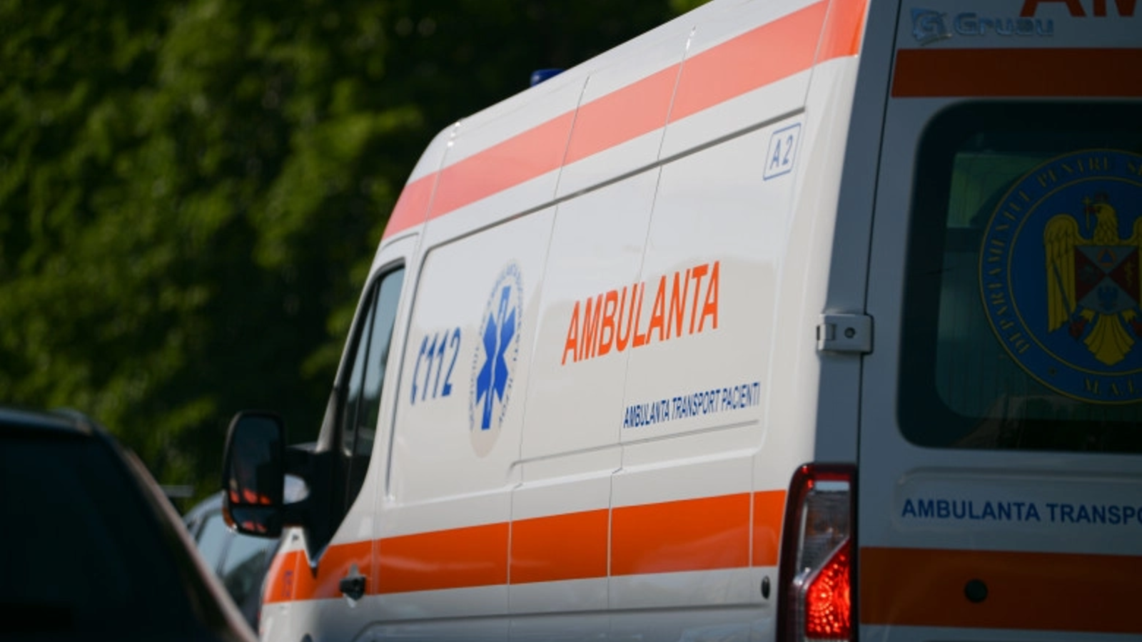 Șacal Atacă: Femeie Mușcată și Dusă la Spital