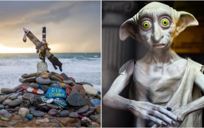 Proiect de 430 milioane de lire, blocat de mormântul lui Dobby. Fanii Harry Potter au sunat