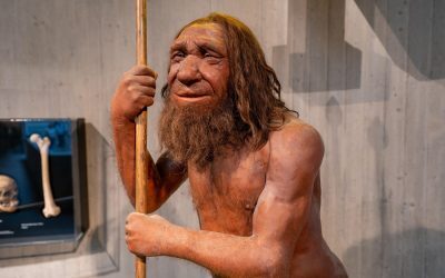 Moștenire Neanderthal: Genă-cheie pentru mușchi, doar la unii oameni