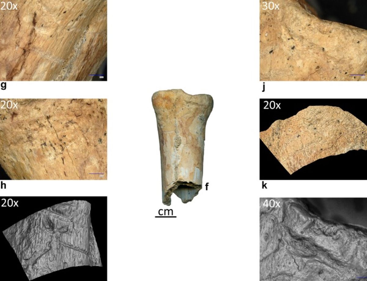 Neandertalienii, unelte din os: premieră istorică în România