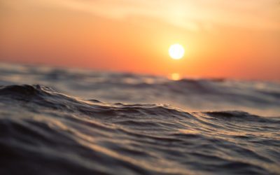 Iulie record: Oceanele au atins temperaturi record istoric