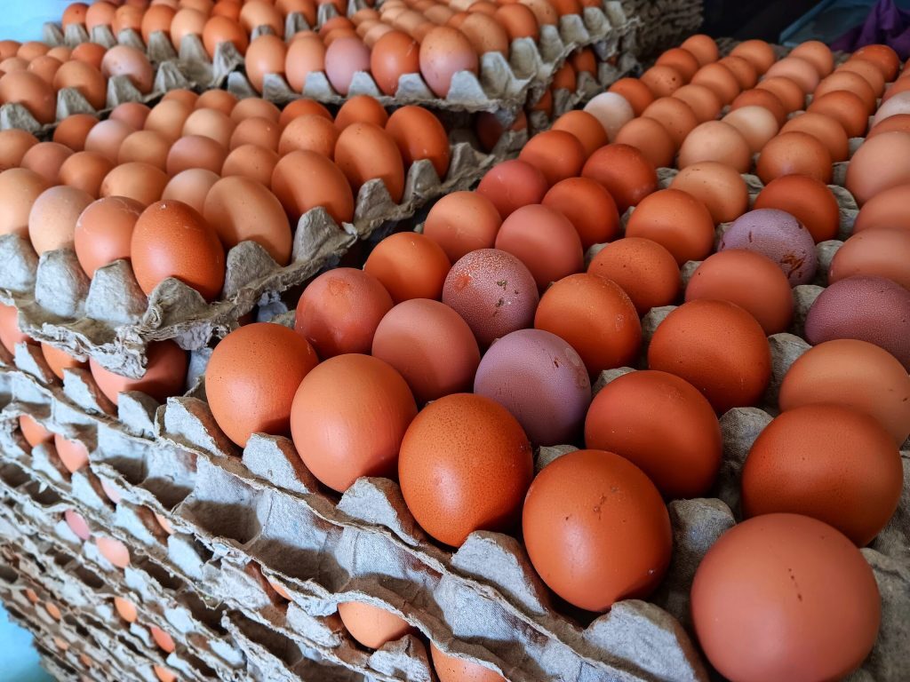 Ouăle bio: șoc climatic sau țepușă?