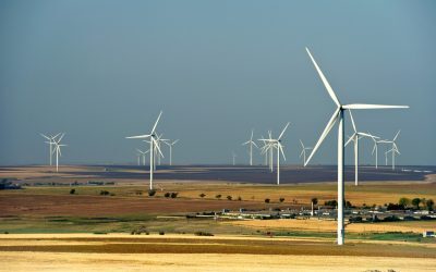 Bușoi: Eolianul taie din importuri, progneza e bună