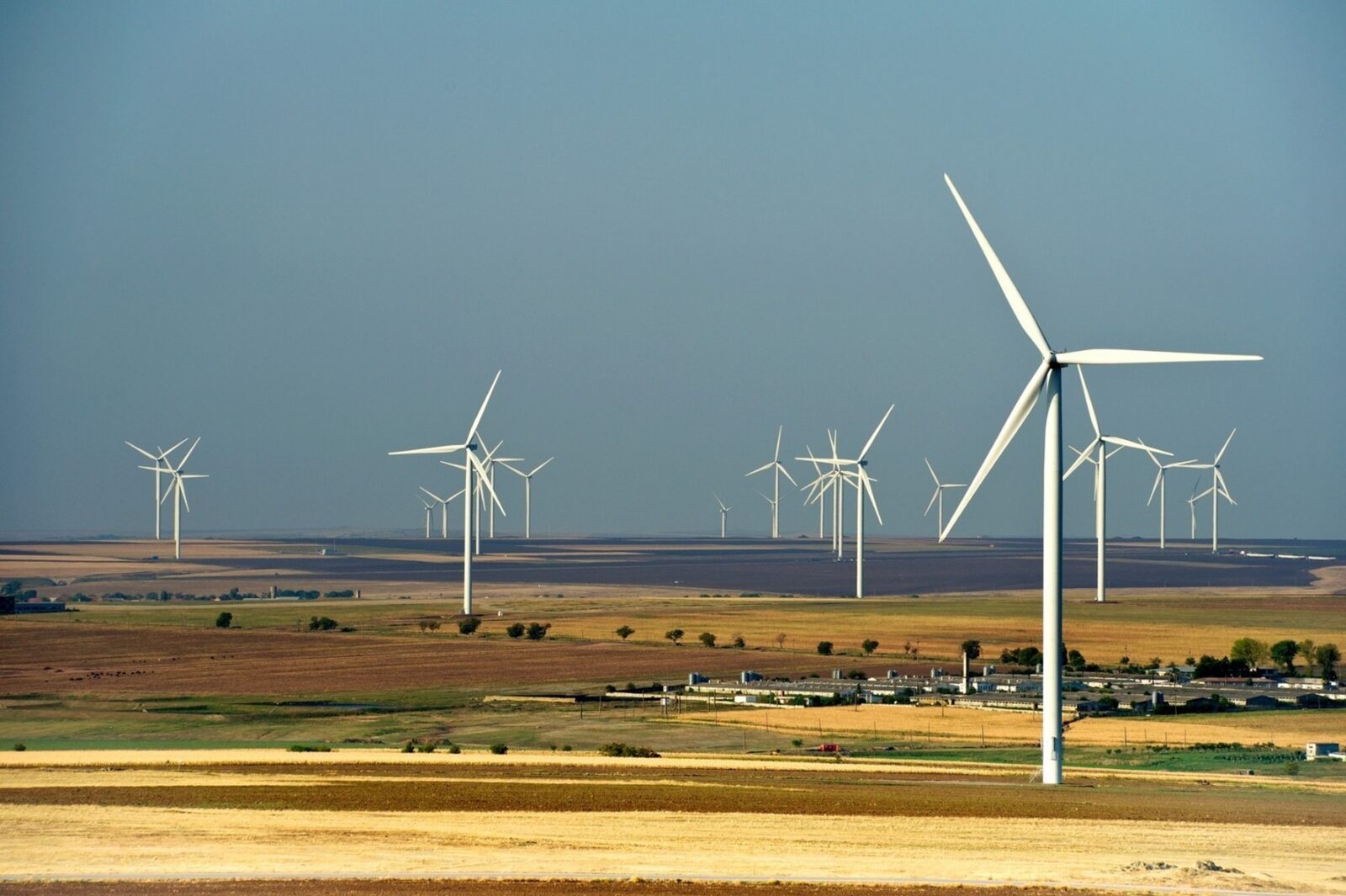 Bușoi: Eolianul taie din importuri, progneza e bună