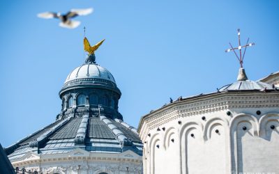 Patriarhia: Ajutor pentru victimele caniculei în România