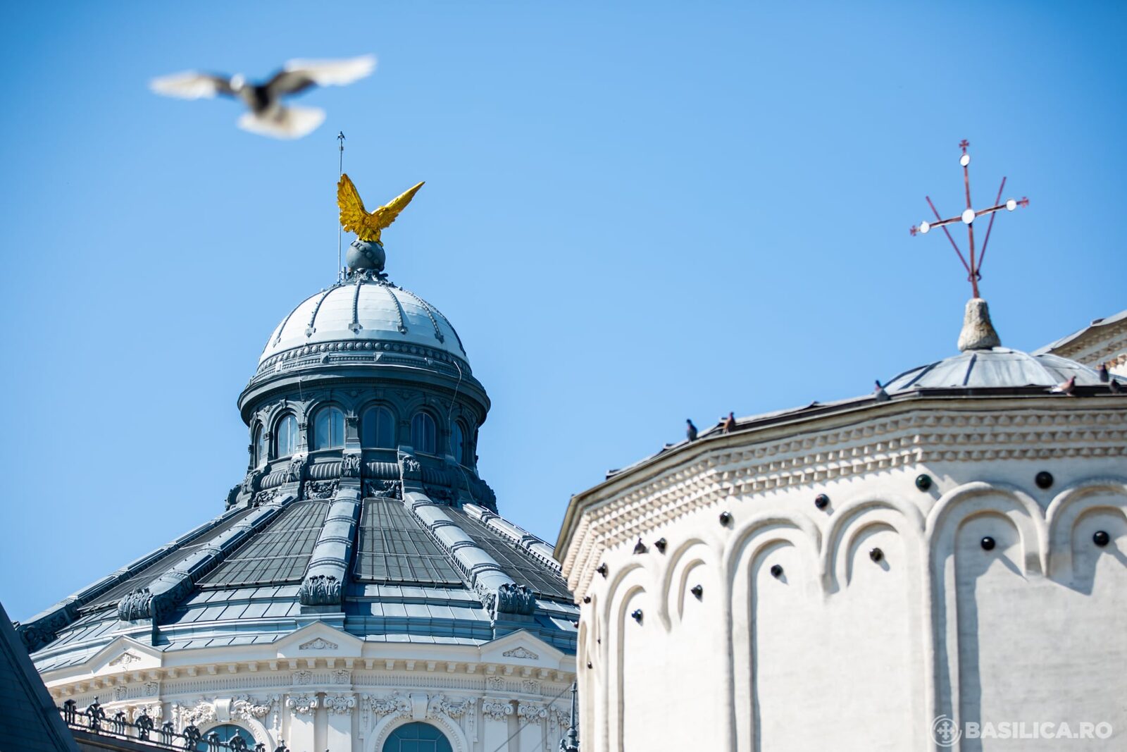 Patriarhia: Ajutor pentru victimele caniculei în România