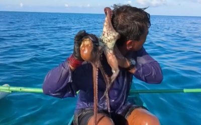 Caracatița a mușcat fața unui pescar în Filipine
