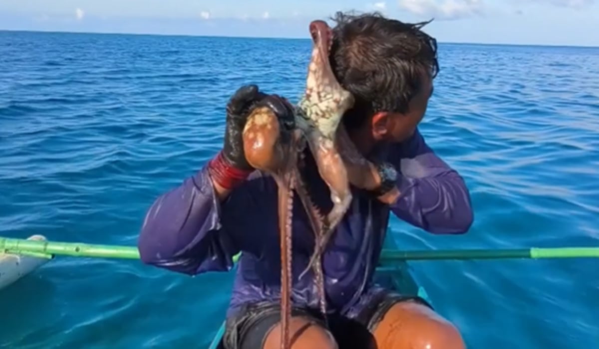 Caracatița a mușcat fața unui pescar în Filipine