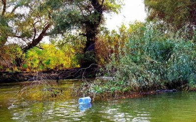 Horeca în Deltă: Canalul Uzlina, blocat! „Ne blochează activitatea”