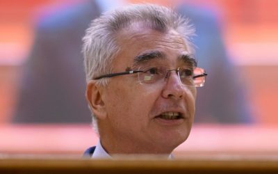 AUR o ia la țintă pe Diana Buzoianu