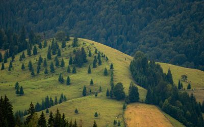 Legea Biodiversității: 972 mil. € sau realitatea bio din România