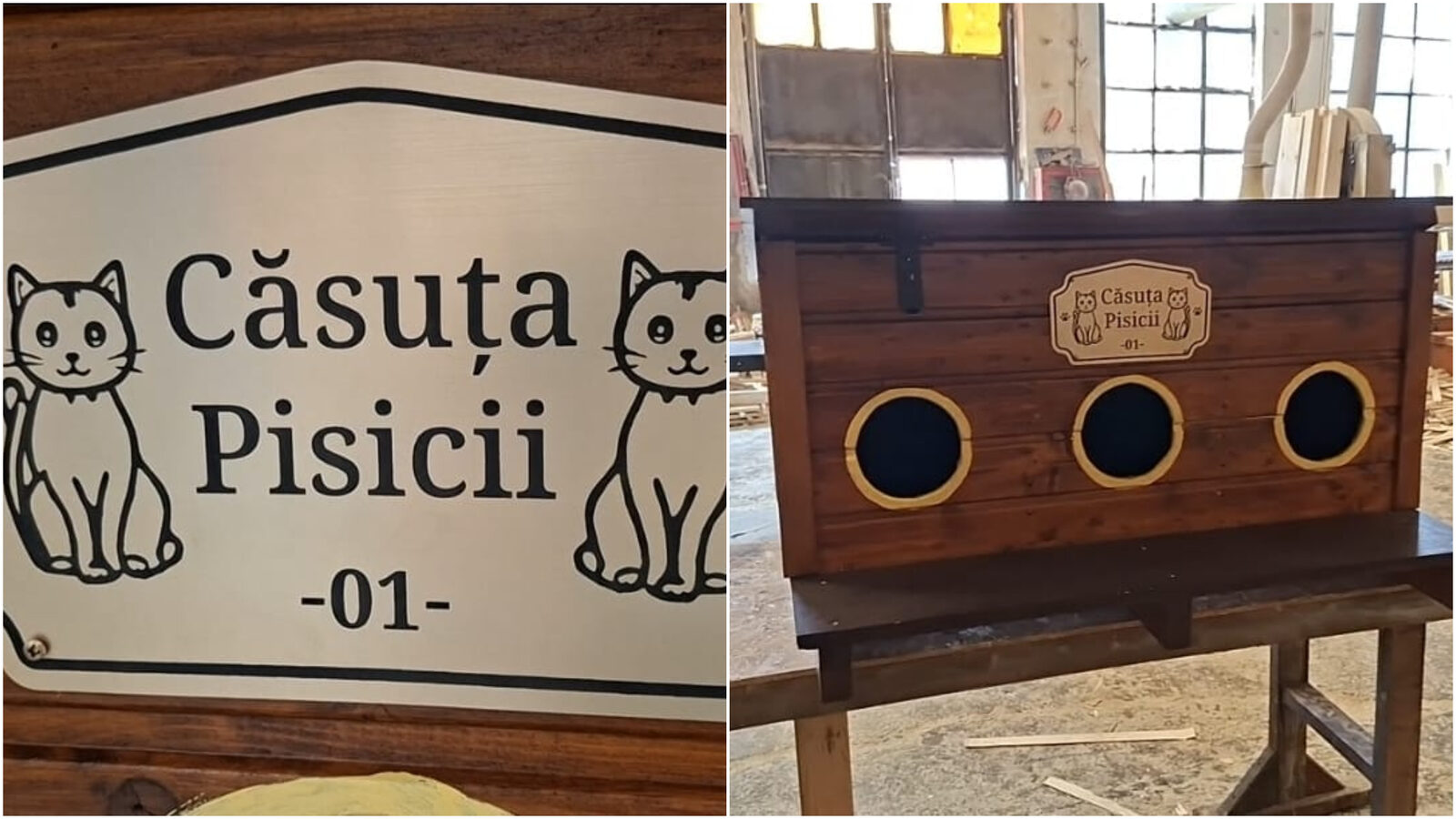 Arad: Căsuțe gratis pentru pisicile străzii