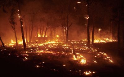 Regii Secolului XI, salvați din foc din Spania