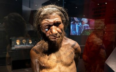 Unelte de neanderthalieni, ieșite la iveală în România
