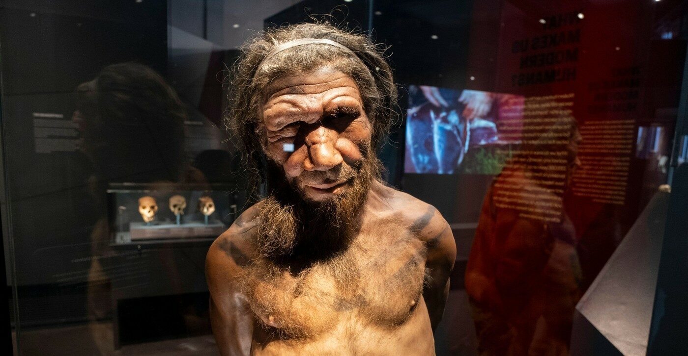 Unelte de neanderthalieni, ieșite la iveală în România
