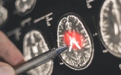 Hormonul Iubirii și Frica: Orizont Nou în Creier.