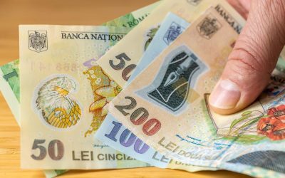 Președintele convoacă liderii partidelor pe legea salarizării