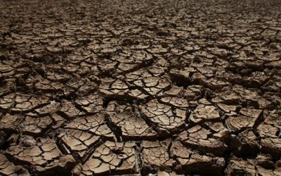 Tibrul: Minim istoric după 15 ani