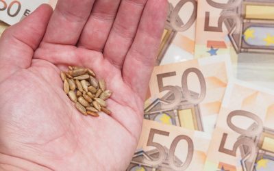 Amenzi uriașe: 21 de firme, 15,87 mil. euro, pentru șicane la fermieri