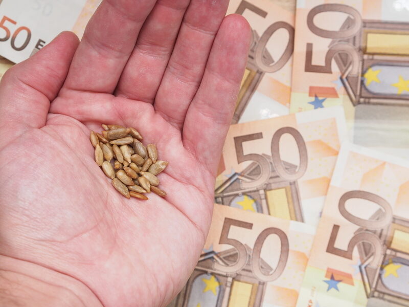 Amenzi uriașe: 21 de firme, 15,87 mil. euro, pentru șicane la fermieri