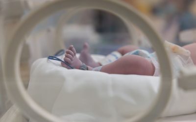 Taxa pe burlăcie e eșecul demografic: politica veche, nicio șansă