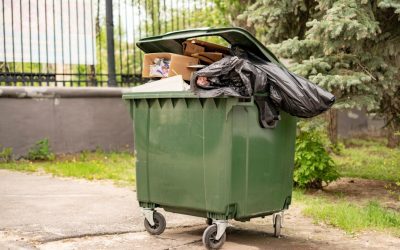 Scapă de muștele de la tomberon. Trucuri simple pentru zilele călduroase