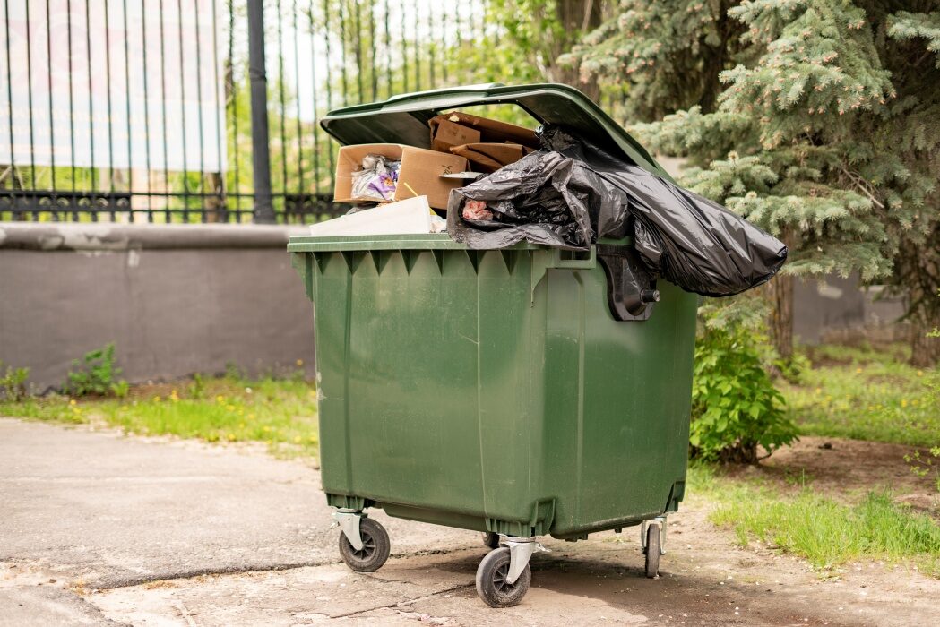 Scapă de muștele de la tomberon. Trucuri simple pentru zilele călduroase