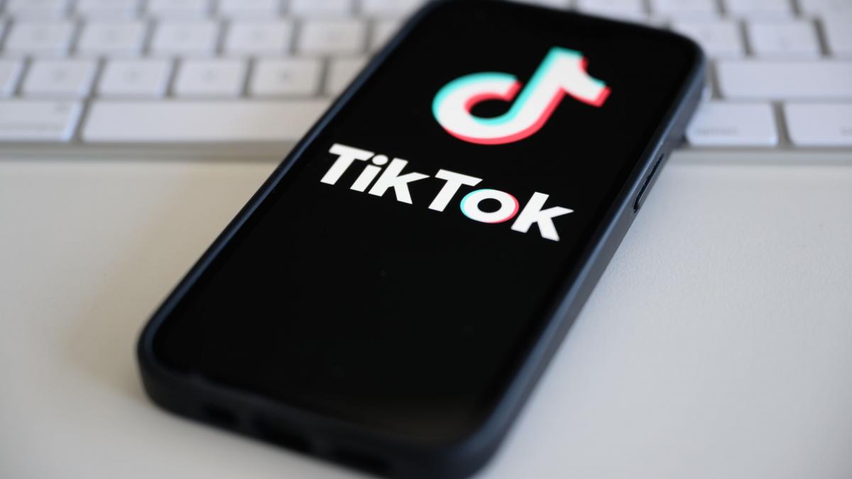 USR vs PNL: TikTok scapă de interdicție. Dispută pe holurile Parlamentului