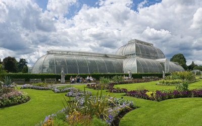 Londra, fără ploaie de 153 de ani. Record istoric