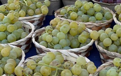 Pesticidele UE riscă să scumpească cafeaua, vinul și citricele
