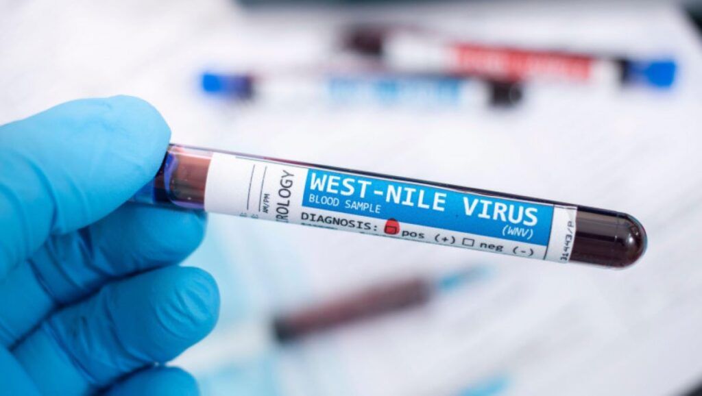Grecia: Alertă! West Nile în creștere alarmantă pentru turiștii români