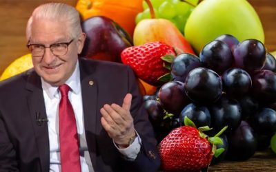 Ciurea: Fructul-minune pentru creier, 10 lei/kg